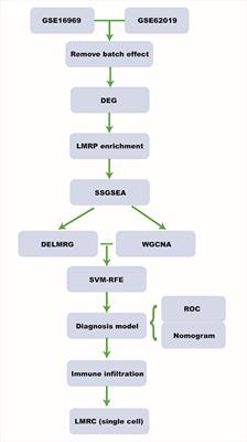 Identification of hub genes significantly linked to tuberous sclerosis related-epilepsy and lipid metabolism via bioinformatics analysis